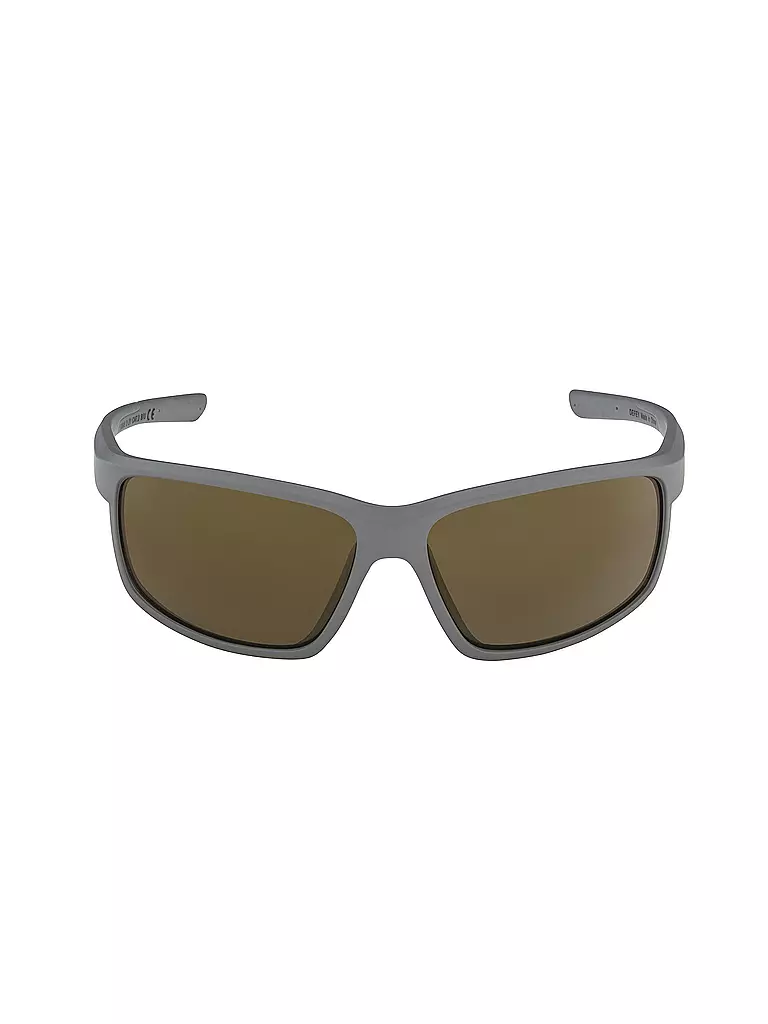 ALPINA | Herren Sportbrille Defey | grau