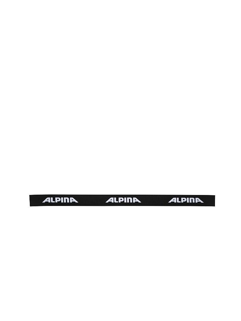 ALPINA | Skibrille Big Horn QVM | schwarz