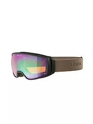 ALPINA | Skibrille Double Jack Planet Q-Lite | Schwarz