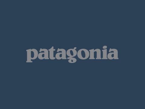 Das Bild zeigt das Wort „Patagonia“ in grauen Kleinbuchstaben zentriert auf einem dunkelblauen Hintergrund.