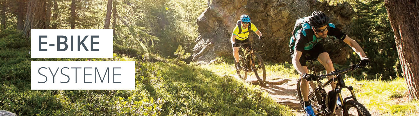 Zwei Radfahrer mit Helmen fahren Mountainbikes auf einem Waldweg. Sonnenlicht fällt durch die Bäume und beleuchtet den Weg. Auf der linken Seite steht „E-BIKE SYSTEME“.