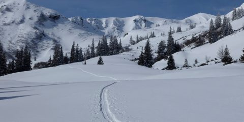 Verschneite Landschaft mit einem einzigen Pfad, der durch ein weites, offenes Schneefeld führt, das von schneebedeckten Bergen umgeben ist. Überall in der Szene stehen Kiefern unter einem klaren blauen Himmel.