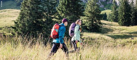 Zwei Menschen wandern mit Rucksäcken durch eine offene Graslandschaft. Sie gehen Seite an Seite, umgeben von hohem Gras und immergrünen Bäumen. Im Hintergrund ist unter einem klaren Himmel ein felsiger Hügel zu sehen.