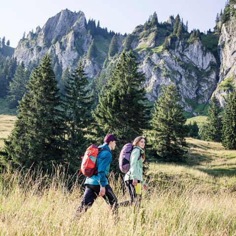 Zwei Menschen wandern mit Rucksäcken durch eine Wiese, umgeben von hohen Kiefern und schroffen Berggipfeln im Hintergrund unter einem klaren blauen Himmel.