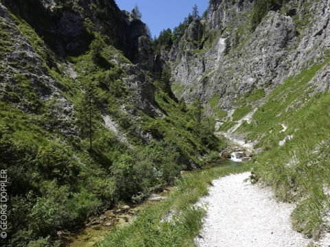Ein schmaler Pfad schlängelt sich durch ein üppiges grünes Tal, das von steilen, felsigen Bergen gesäumt ist. Ein kleiner Bach fließt neben dem Pfad entlang und überall in der Landschaft sind vereinzelte Bäume zu sehen. Der Himmel ist klar und blau.