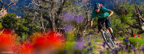 Ein Radfahrer mit Helm und Sonnenbrille fährt mit seinem Mountainbike auf einem Feldweg, der von leuchtenden Wildblumen und spärlichen Bäumen umgeben ist. Der Hintergrund zeigt eine raue, natürliche Landschaft unter einem klaren Himmel.