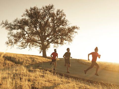Drei Menschen laufen auf einem gepflasterten Weg durch ein goldenes Feld mit hohem, trockenem Gras. Links steht ein großer Baum, dessen Silhouette sich gegen die untergehende Sonne abhebt und einen warmen Schein erzeugt. Der Himmel ist klar und trägt zur heiteren und energiegeladenen Atmosphäre bei.