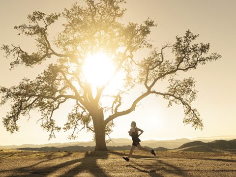 Person, die vor einem großen Baum joggt, hinter dem die Sonne untergeht und lange Schatten wirft. Die Landschaft ist offen und hügelig und schafft eine ruhige und malerische Szene.