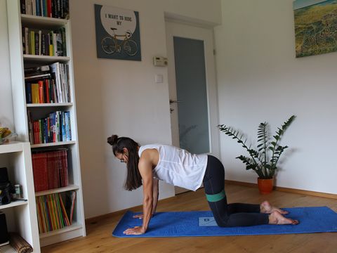 Eine Person macht drinnen Yoga auf einer blauen Matte, in einer Pose, die der Katze-Kuh-Dehnung ähnelt. Sie trägt ein weißes Tanktop und schwarze Leggings. Im Raum stehen ein Bücherregal, eine grüne Pflanze, ein Fahrrad als Wandbehang und ein buntes Gemälde an der Wand.