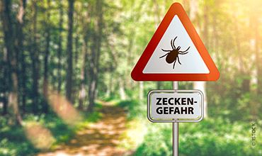 Ein Warnschild in einem Waldstück zeigt ein Zeckensymbol in einem roten Dreieck. Darunter steht der Text "Zeckengefahr". Sonnenlicht fällt durch die Bäume und schafft eine warme und helle Atmosphäre.