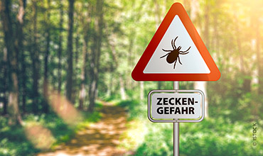 Ein Warnschild in einem Waldstück zeigt ein Zeckensymbol in einem roten Dreieck. Darunter steht der Text "Zeckengefahr". Sonnenlicht fällt durch die Bäume und schafft eine warme und helle Atmosphäre.