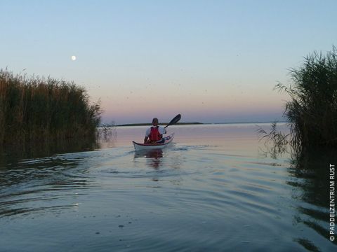 Eine Person in einer roten Schwimmweste fährt bei Sonnenuntergang Kajak auf ruhigem Wasser, umgeben von hohem Schilf. Der Himmel ist in sanfte Farben getaucht und in der Ferne ist ein Mond zu sehen.