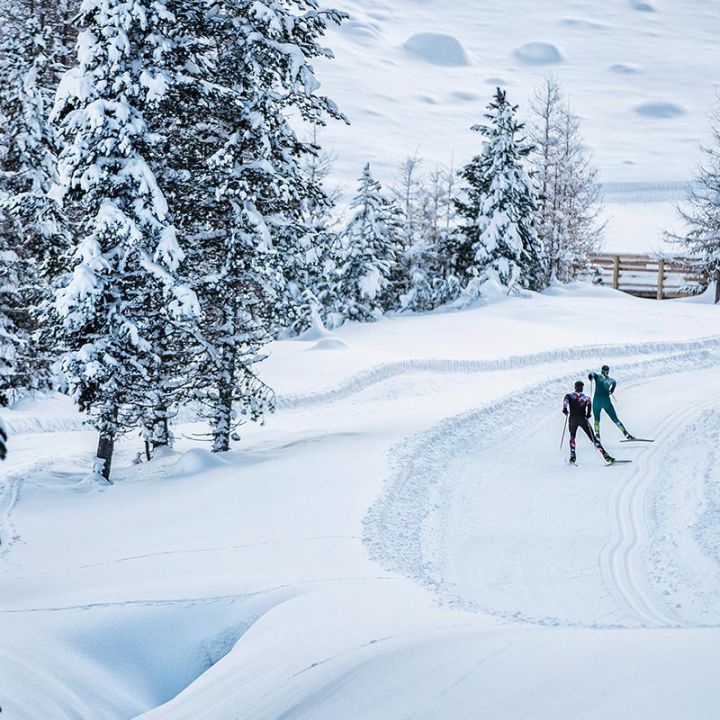 Zwei Personen fahren auf einer schneebedeckten Piste Ski, umgeben von schneebedeckten Bäumen in einer Winterlandschaft. Im Hintergrund ist ein Holzzaun zu sehen, und frischer Schnee bedeckt die Gegend und schafft eine ruhige Atmosphäre.