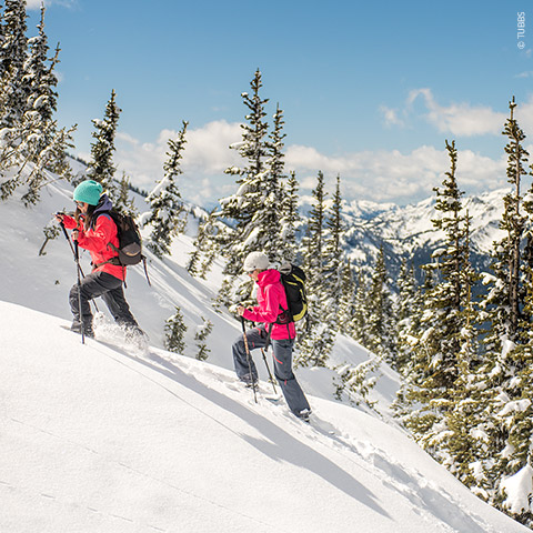 Zwei Personen in Winterkleidung wandern mit Skistöcken einen schneebedeckten Berghang hinauf. Sie sind von schneebedeckten immergrünen Bäumen und einem klaren blauen Himmel umgeben. Im Hintergrund sind schneebedeckte Berge zu sehen.