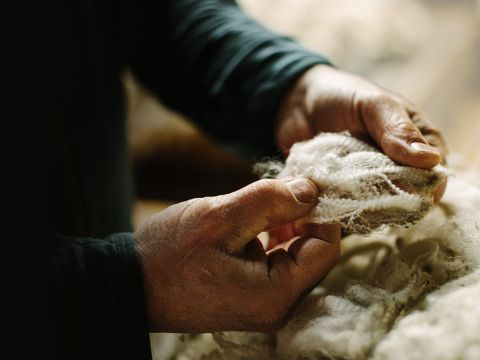 Hände halten ein Stück Rohwolle, im Hintergrund ist noch mehr Wolle zu sehen. Die Person trägt ein langärmeliges dunkles Hemd. Die Szene scheint in einem Innenbereich mit sanfter Beleuchtung zu sein.