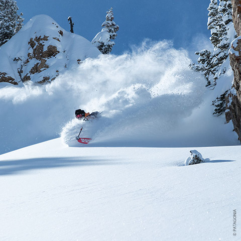 Ein Skifahrer gleitet einen schneebedeckten Hang hinunter und wirbelt dabei Pulverschnee auf. Im Hintergrund sind Kiefern und Felsvorsprünge vor einem klaren blauen Himmel zu sehen.