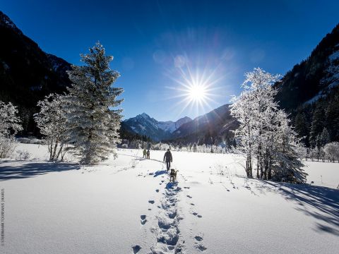 Eine Person wandert an einem sonnigen Tag mit einem Hund durch eine verschneite Landschaft. Schneebedeckte Bäume säumen den Weg, im Hintergrund sind Berge zu sehen. Die helle Sonne scheint an einem klaren blauen Himmel und wirft lange Schatten auf den Schnee.