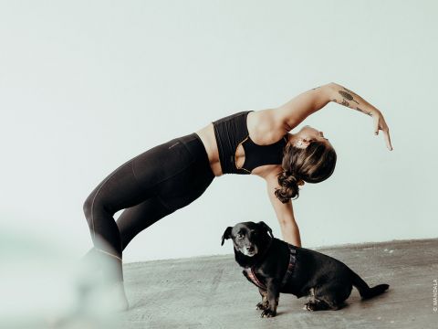 Eine Frau übt eine Yoga-Pose, indem sie ihren Rücken krümmt und einen Arm ausstreckt, während sie auf einer Hand und beiden Füßen balanciert. Sie trägt ein schwarzes Sportoutfit. Ein kleiner schwarzer Hund sitzt daneben und schaut in die Kamera. Der Hintergrund ist eine schlichte, helle Wand.