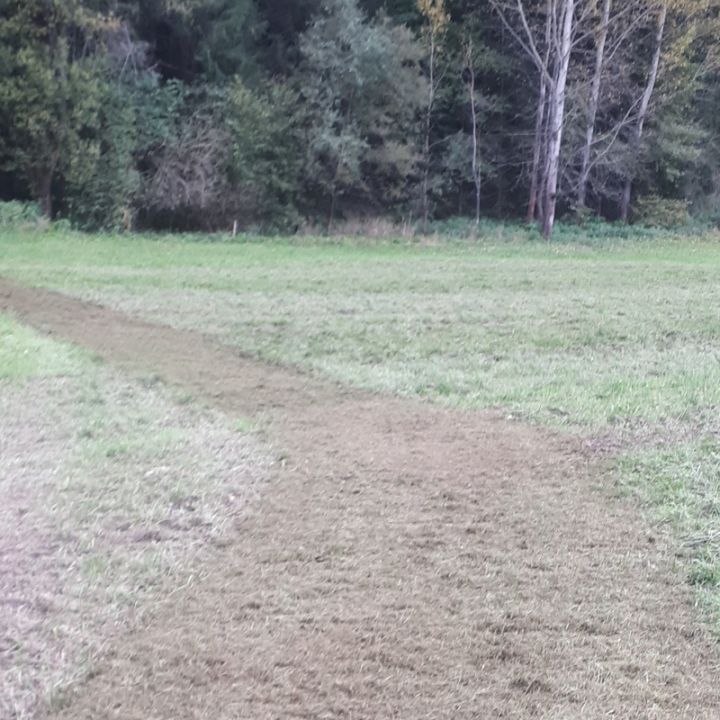 Ein gemähter Pfad durch ein Grasfeld führt zu einer dichten Baumgrenze. Das Gras auf dem Pfad ist kürzer und bildet einen Kontrast zum umgebenden hohen Gras. Unter einem bewölkten Himmel sind Bäume mit einer Mischung aus grünen und braunen Blättern zu sehen.