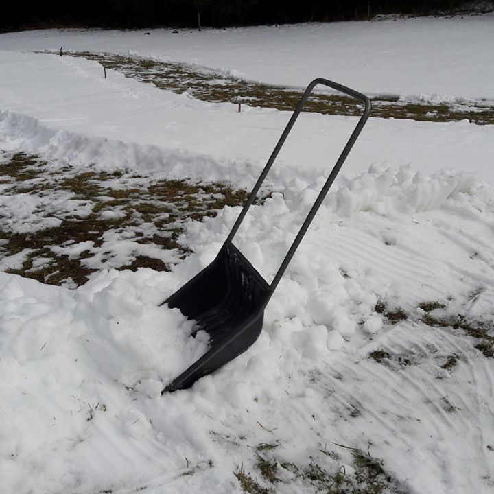 Eine Schneeschaufel steckt teilweise in einem Schneefeld, der Stiel ragt nach oben. Der Schnee ist auf dem Boden verstreut und es gibt Wege, die im Schnee geräumt wurden und unter denen Gras zum Vorschein kommt. Im Hintergrund sind Bäume am Rand des Feldes zu sehen.