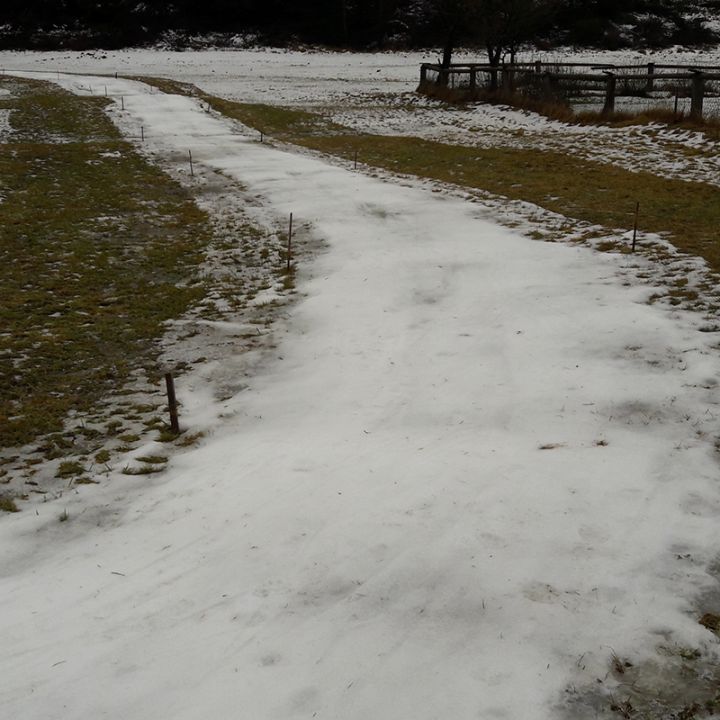 Ein schmaler, eisbedeckter Pfad schlängelt sich durch ein Grasfeld. Der Boden ist teilweise mit Schnee bedeckt und Holzpfähle säumen den Wegrand. Auf der rechten Seite ist ein Zaun zu sehen und in der Ferne stehen Bäume unter einem bewölkten Himmel.