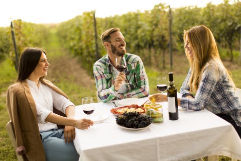 Drei Personen sitzen draußen an einem Tisch in einem Weinberg und genießen Wein. Auf dem Tisch stehen Gläser mit Rotwein, eine Weinflasche, ein Teller mit verschiedenen Käsesorten, Cracker und eine Schale mit Weintrauben. Sie lächeln und unterhalten sich.