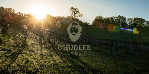 Sonnenuntergang über einem Weinberg mit kahlen Reben und einer Wiese. Das Sonnenlicht wirft lange Schatten über die Landschaft. In der Mitte ist ein Logo mit einer bärtigen Figur und dem Text „Uhudler Land“ eingeblendet. Bäume säumen den Horizont.