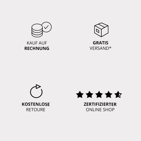 Symbole auf grauem Hintergrund: ein markierter Münzstapel mit „Kauf auf Rechnung“, ein Kästchen mit „Gratis Versand*“, ein kreisförmiger Pfeil mit „Kostenlose Retoure“ und fünf Sterne mit „Zertifizierter Online Shop“.