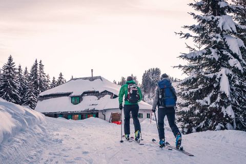 Zwei Menschen mit Rucksäcken fahren auf Skiern einen verschneiten Weg bergauf zu einer schneebedeckten Hütte, die von Kiefern umgeben ist. Der Himmel ist bedeckt, was eine ruhige Winterlandschaft schafft.