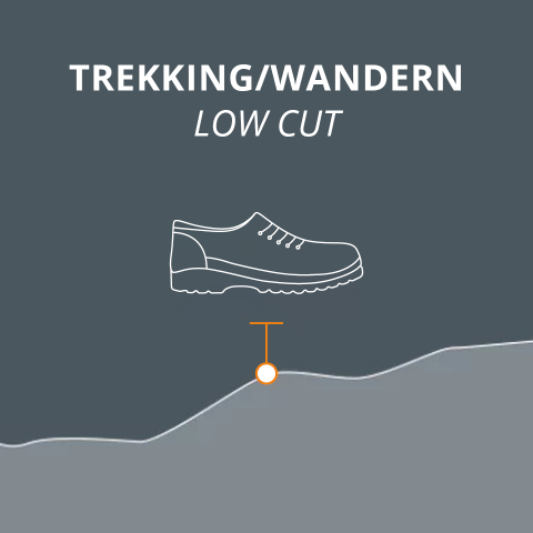 Abbildung eines halbhohen Trekkingschuhs mit dem Text „TREKKING/WANDERN LOW CUT“ darüber. Im Hintergrund ist eine stilisierte wellenförmige Geländelinie und ein hervorgehobener Punkt zu sehen, der eine Verbindung zum Schuh anzeigt.