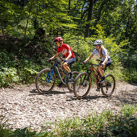 Fahrrad-Training: Fit fürs Radfahren in 6 Schritten