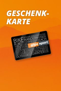 480×720-vorteil-geschenkkarte-fs22_