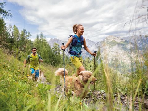 Ein Mann und eine Frau wandern mit einem Golden Retriever auf einem üppigen Bergpfad. Sie benutzen Trekkingstöcke und tragen Rucksäcke. Der Himmel ist teilweise bewölkt und im Hintergrund sind majestätische Berge zu sehen.