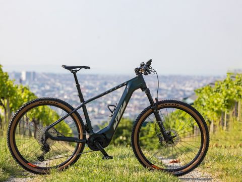 Elektrisches Mountainbike mit einem eleganten schwarzen Rahmen, das auf einem Grasweg zwischen Weinbergen geparkt ist. Im Hintergrund ist die Stadtlandschaft unter einem dunstigen Himmel zu sehen.