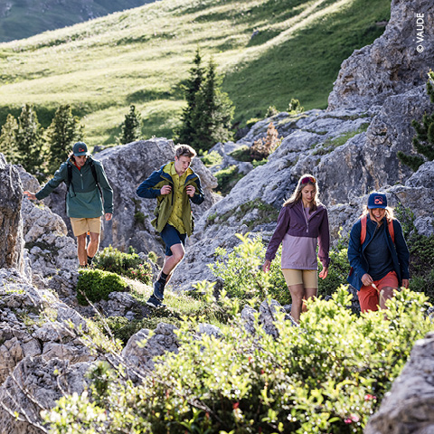 Vier Personen wandern unter klarem Himmel durch felsiges Gelände, umgeben von Grün und Bäumen. Sie tragen Outdoor-Kleidung und kleine Rucksäcke und erkunden die natürliche Landschaft mit Konzentration und Entschlossenheit.