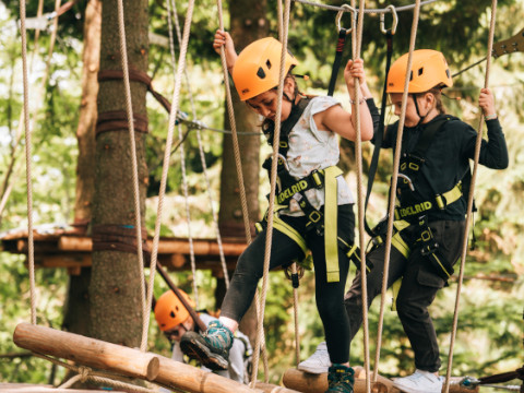 Kinder mit Helmen und Gurten durchqueren einen Hochseilgarten in einem Waldgebiet. Sie laufen auf Holzbalken und halten sich an Seilen fest. Sie wirken konzentriert und mitgerissen von diesem Abenteuer.