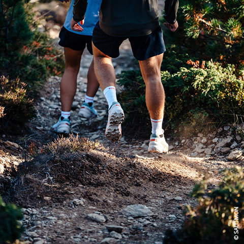 Zwei Personen laufen in Sportkleidung und Turnschuhen auf einem steinigen Waldweg. Sonnenlicht fällt durch das Laub und hebt den Staub und die Erde hervor, die ihre Schritte aufgewirbelt haben.