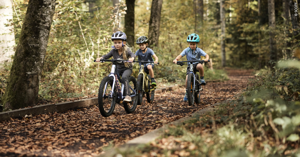 crossbike mit schutzblech CLite Schutzblech mit Busch & Müller Rücklicht 45mm main image 1