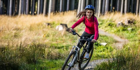 Eine Person mit rotem Oberteil und blauem Helm fährt mit dem Mountainbike einen Waldweg entlang. Hohe Bäume und goldenes Gras säumen den Weg und bilden eine malerische Naturkulisse. Der Fahrer wirkt konzentriert und voller Energie.