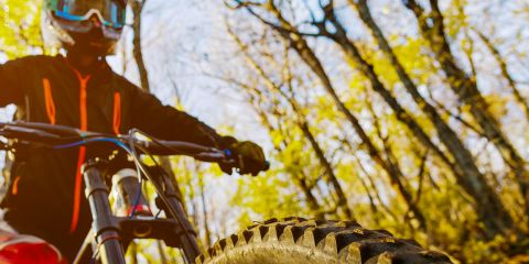 Ein Mountainbiker in Schutzausrüstung wurde aus einer niedrigen Perspektive aufgenommen, wobei der Reifen des Fahrrads deutlich im Vordergrund zu sehen ist. Im Hintergrund ist ein sonnenbeschienener Wald mit kahlen Bäumen und Ästen zu sehen. Die Szene vermittelt Bewegung und Abenteuer.