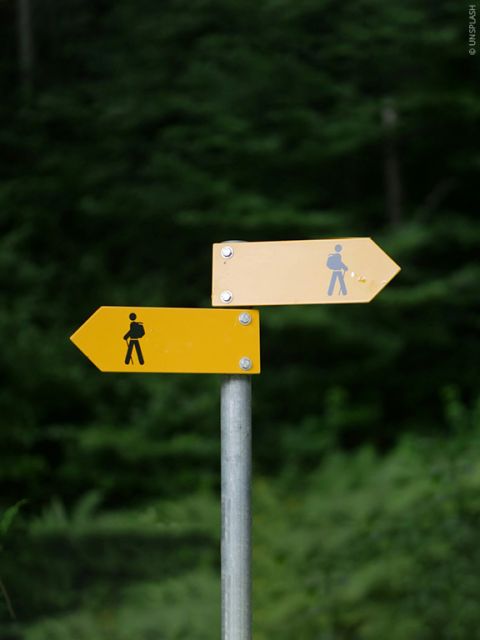 Zwei gelbe Wegweiser an einem Pfosten weisen in entgegengesetzte Richtungen vor einem grünen Waldgrund. Auf jedem Schild ist eine Wanderfigur abgebildet, die unterschiedliche Wanderrouten anzeigt.