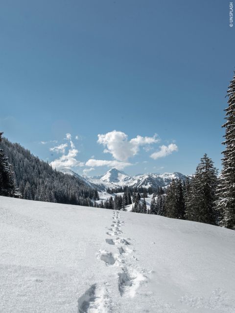 Verschneite Landschaft mit einer Bergkette unter strahlend blauem Himmel. Fußspuren schlängeln sich durch den Schnee, flankiert von immergrünen Bäumen. Flauschige Wolken schweben in der Ferne über den Bergen und verleihen der ruhigen Szene Tiefe.