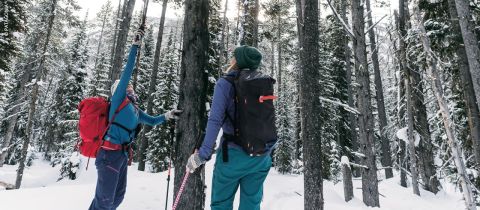 Zwei Personen in Winterkleidung wandern durch einen verschneiten Wald. Eine Person streckt mit einem Stock einen Arm in Richtung eines Baumes aus. Schnee bedeckt den Boden und die Äste, umgeben von hohen Bäumen. Beide tragen Rucksäcke und Handschuhe.