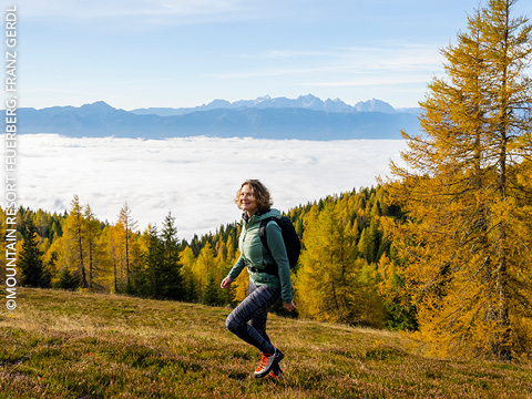 Eine Person mit Rucksack wandert durch eine grasbewachsene, herbstliche Hügellandschaft mit goldenen Bäumen und blickt auf ein Wolkenmeer und ferne Berge unter einem klaren blauen Himmel.