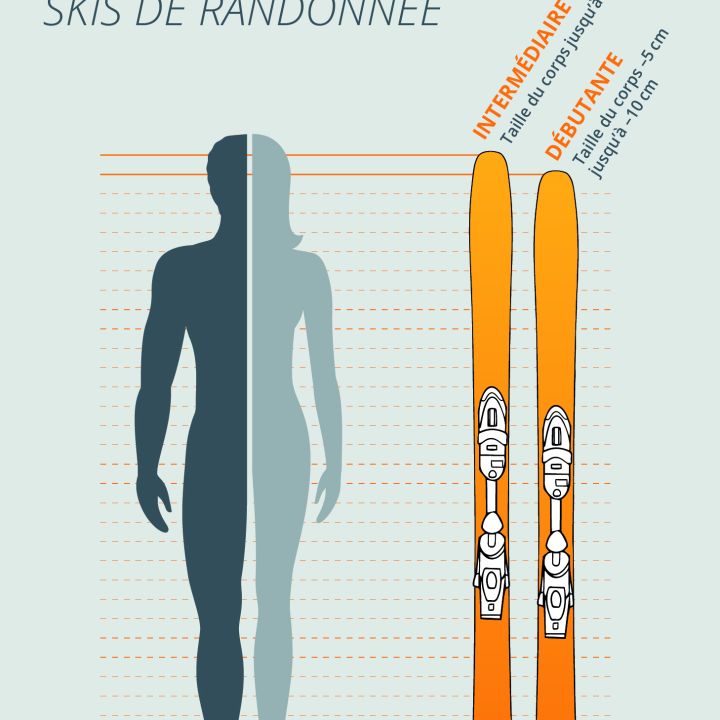 Ein illustrierter Größenratgeber für Skitourenski zeigt eine menschliche Silhouette neben zwei Skiern. Sie erklärt, dass Anfänger Skier wählen sollten, die ihrer Körpergröße entsprechen, während Fortgeschrittene Skier wählen sollten, die 5-10 cm kürzer als ihre Körpergröße sind.