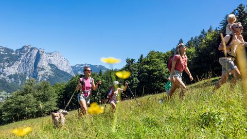 Eine Familie mit zwei Kindern und einem Hund wandert auf einen grasbewachsenen Hügel mit Bergen, Bäumen und Wildblumen unter einem klaren blauen Himmel.