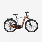 Elektrofahrrad mit orange-grauem Rahmen, schwarzem Sattel, vorderen und hinteren Schutzblechen sowie einem Gepäckträger, abgebildet vor einem schlichten weißen Hintergrund.