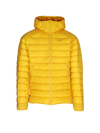 ARCTERYX | Herren Isojacke Cerium