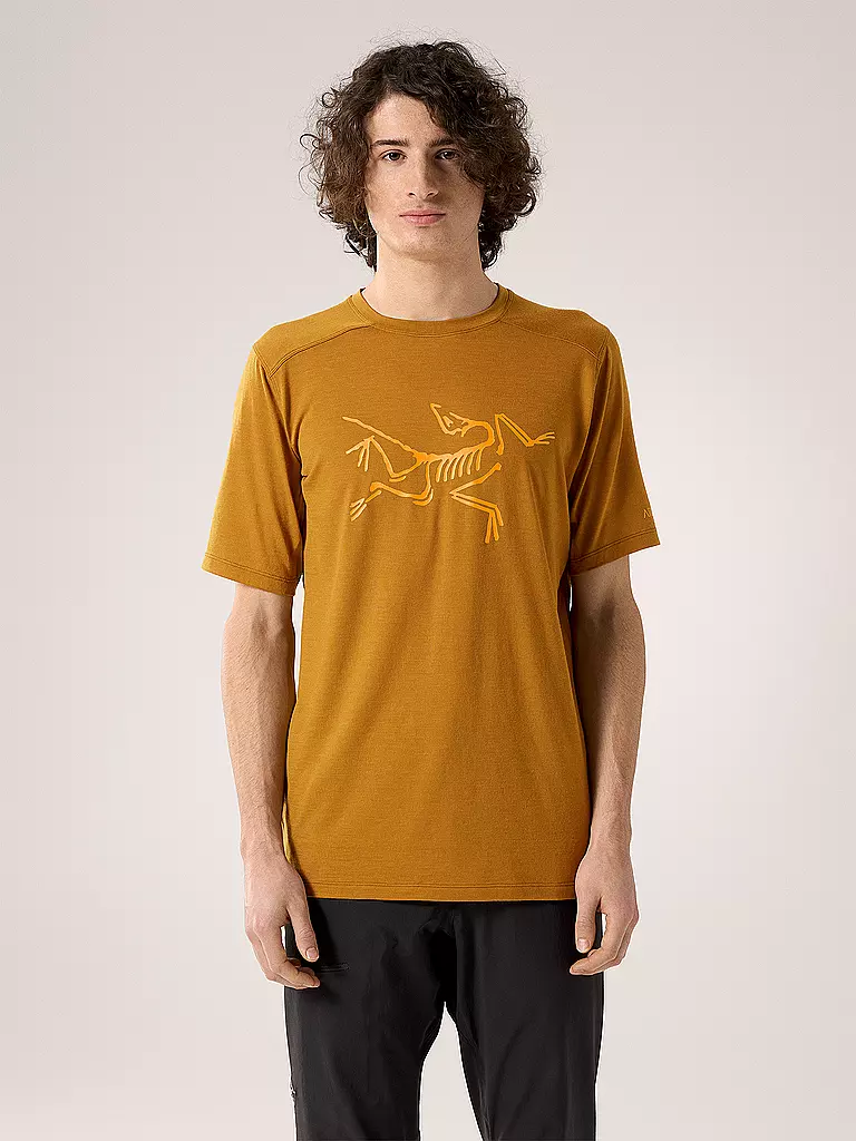 ARCTERYX | Herren Funktionsshirt Ionia Merino Wool Logo | gelb