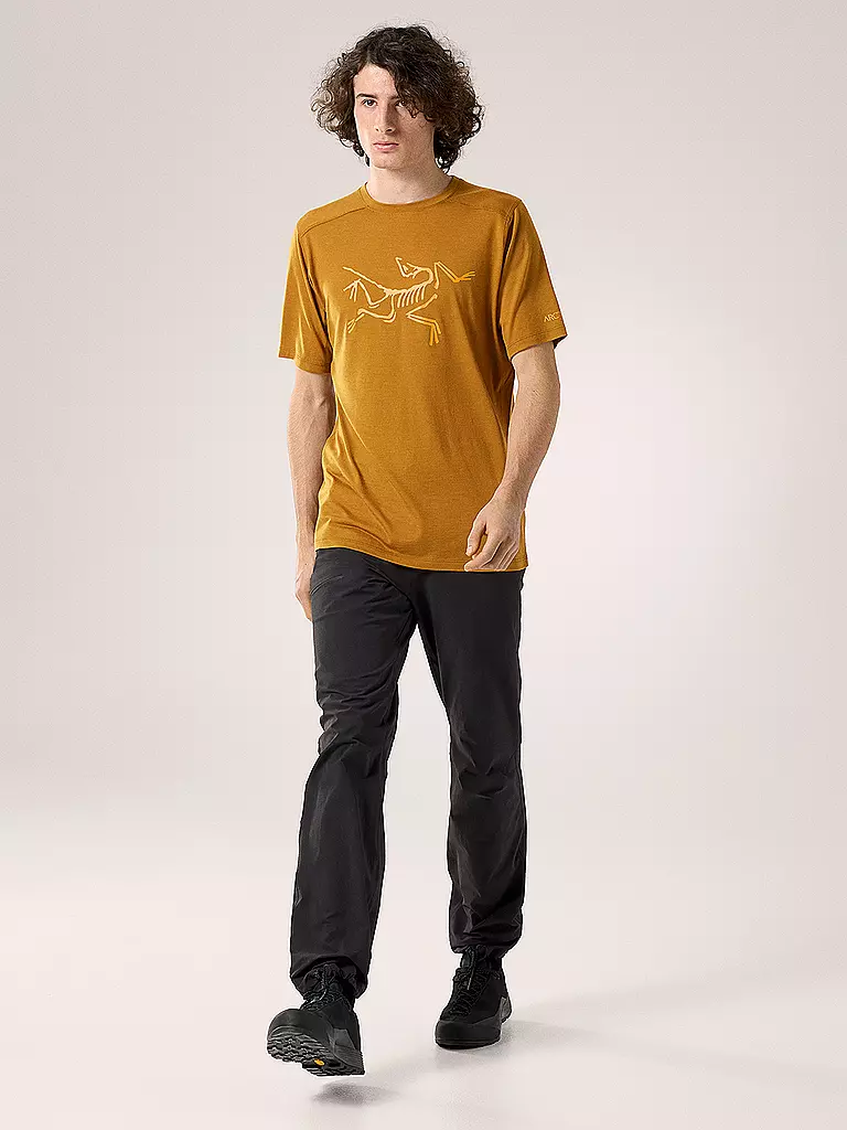 ARCTERYX | Herren Funktionsshirt Ionia Merino Wool Logo | grau